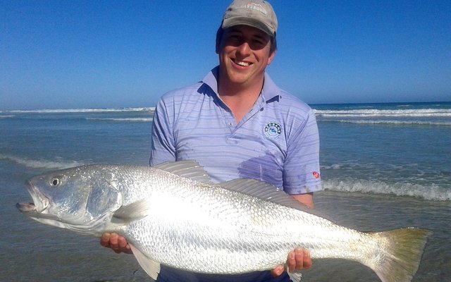 Ferdi van Dyk van Stellenbosch, seun van ds Dirk van Dyk van Gansbaai, het op 7 Junie 2015 hierdie “winter”-kabeljou van 11kg by die sandduine anderkant Uilenkraalsmond gevang. Hy het net ‘n foto laat neem, die pragtige vis ge-“tag” en dit weer vrygelaat.  